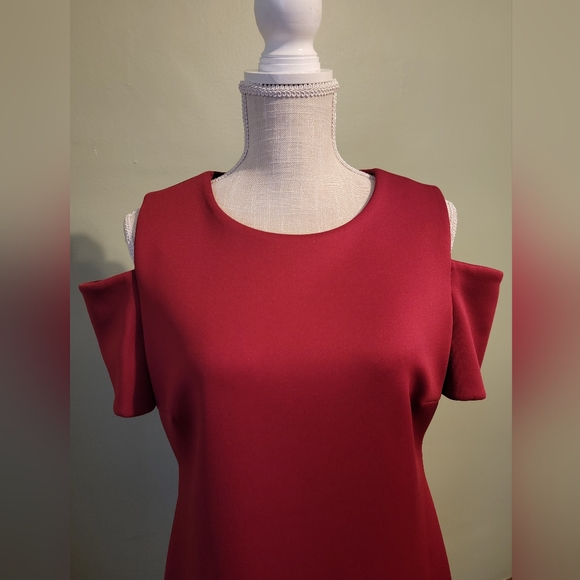 Burgundy Calvin Klein Dress Size 12 Party Wedding Guest Mom of Bride E4 - Picture 2 of 8
